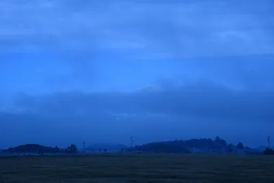 DSC_1101 (Large).JPG